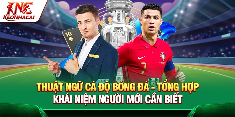 https://confco.io/thuat-ngu-ca-do-bong-da/